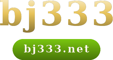 bj333 logo